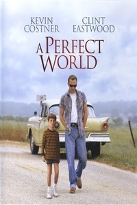 Download A Perfect World Full Movie Hindi 720p
