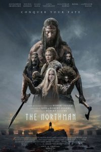 Download The Northman Full Movie Hindi 480p