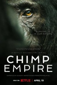 Download Chimp Empire (2023) Season 1 Hindi 480p